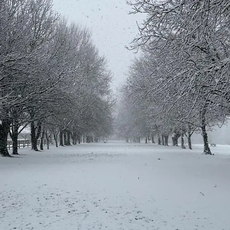 Codladh Samh Maison d'hôtes