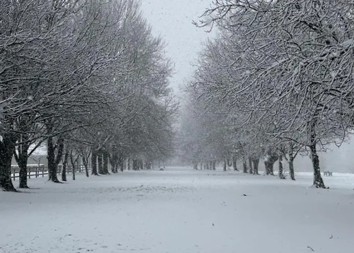 Codladh Samh Guest house